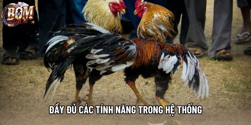 Đầy đủ các tính năng trong hệ thống