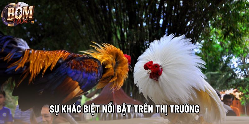 Sự khác biệt nổi bật trên thị trường